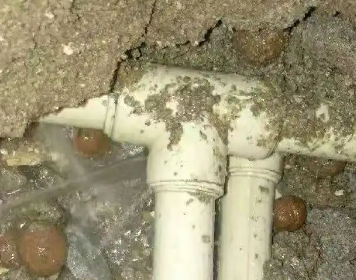 龙州测漏水多少钱