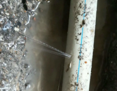 龙州测漏水哪家好