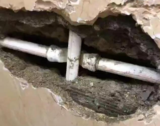 龙州测漏水哪家好