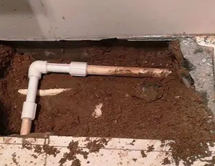 龙州测漏水哪家好