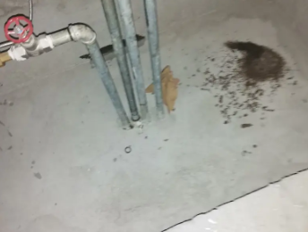 龙州卫生间测漏水价格明细