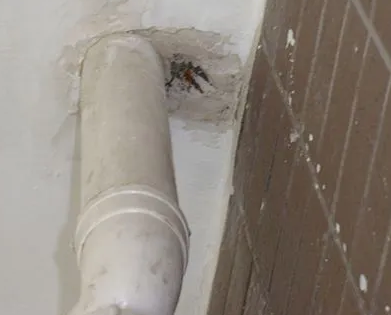 龙州漏水检测哪家好